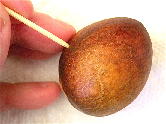 Insert toothpicks into the Avocado stone